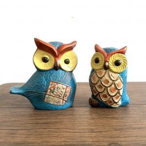Pareja de búhos de colores