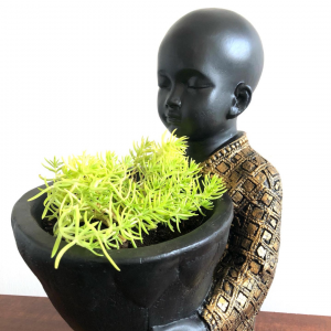 Monje negro con dorado y plantita